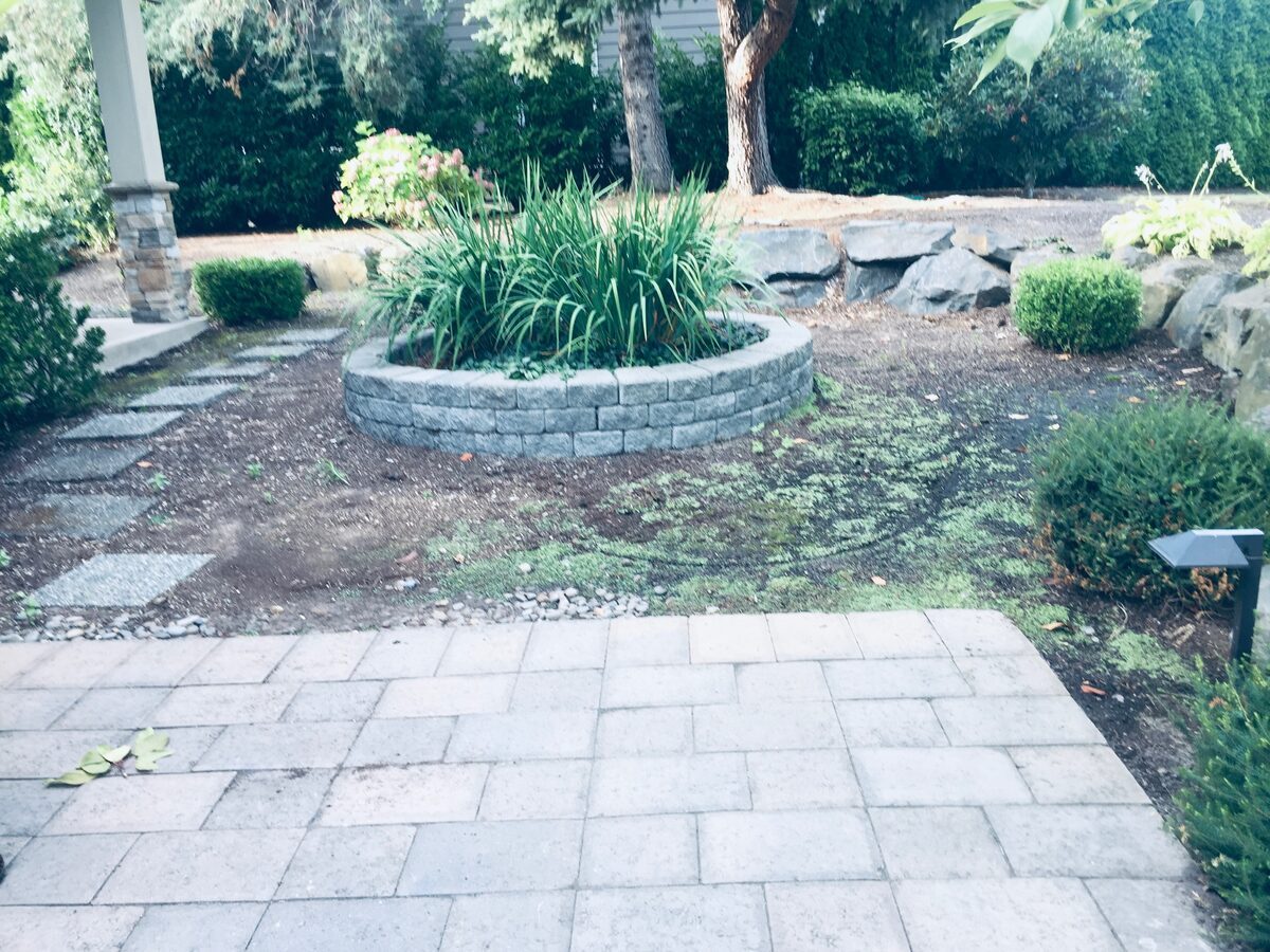 Paver walkway with a curved stone retaining wall and new planting bed